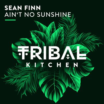Ain't No Sunshine By Sean Finn's cover