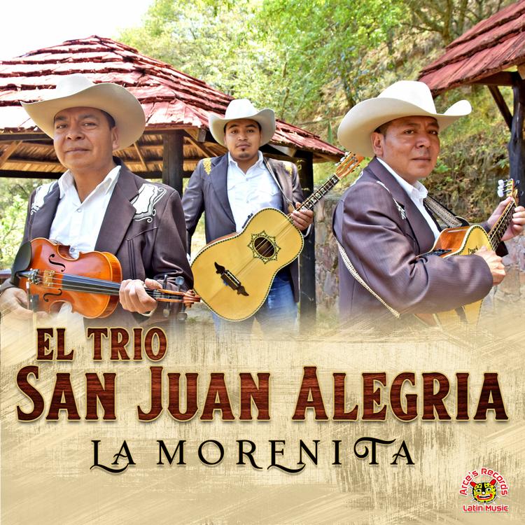 Trio San Juan Alegria's avatar image