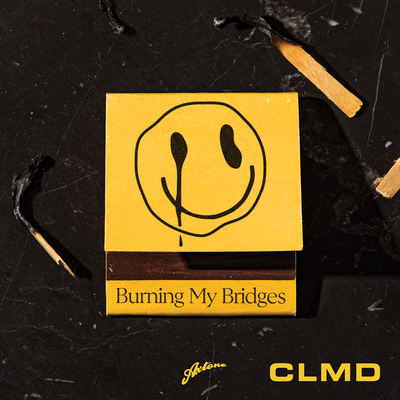 Burning My Bridges By CLMD's cover