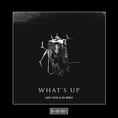 What's Up (Hardstyle Remix)'s cover