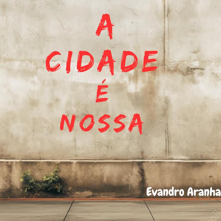 Evandro Aranha's avatar image