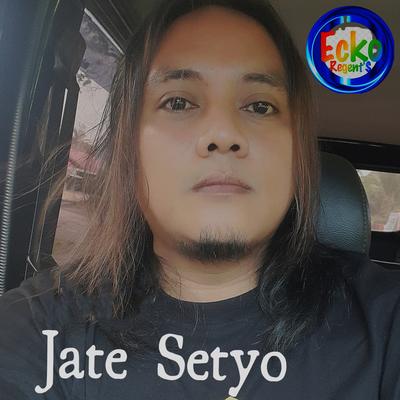 Jare Setyo's cover