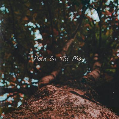 Hold On Till May's cover