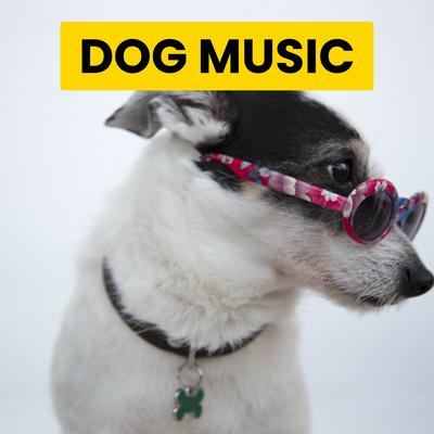 Sunny Day By Dog Music, Sleepy Dogs, Cat Music's cover