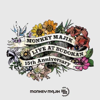LIVE at BUDOKAN -15th Anniversary-'s cover