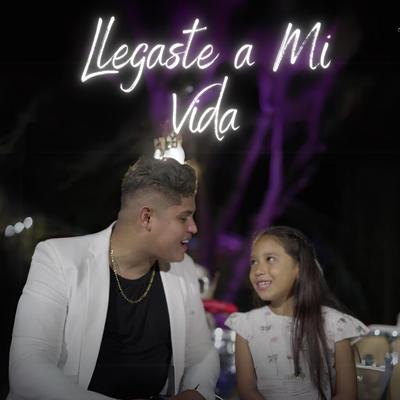 LLegaste a Mi Vida's cover