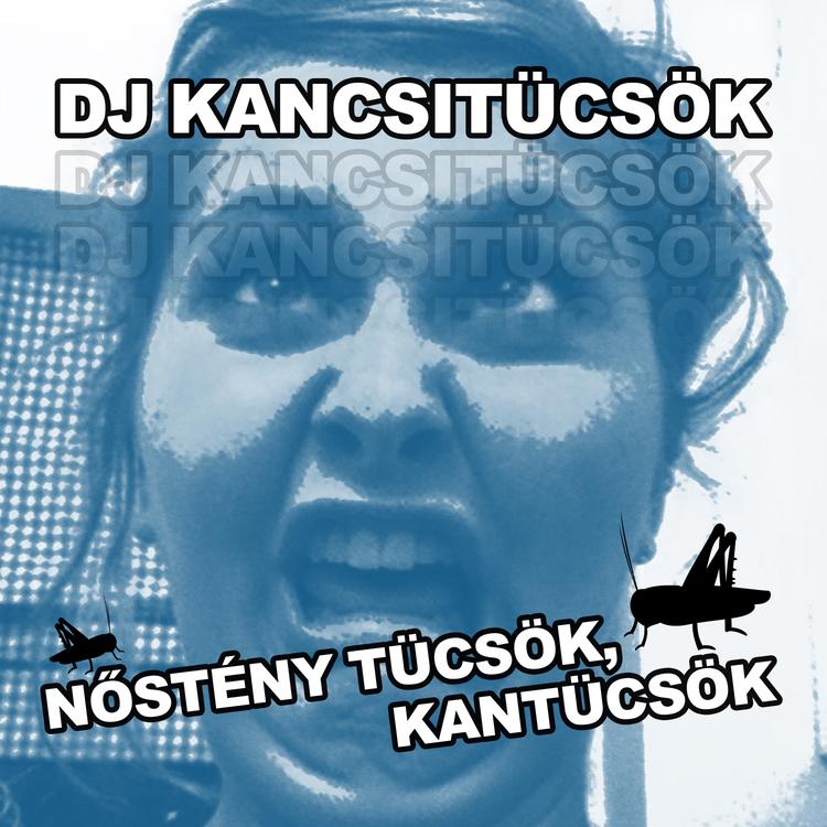 Dj. KancsiTücsök's avatar image