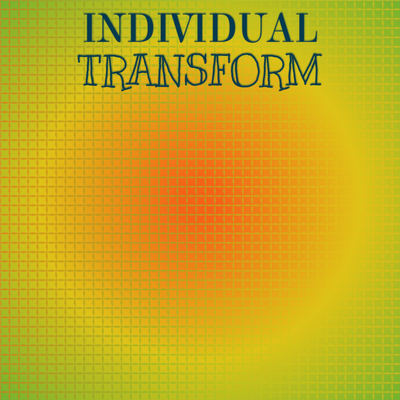 Individual Transform's cover