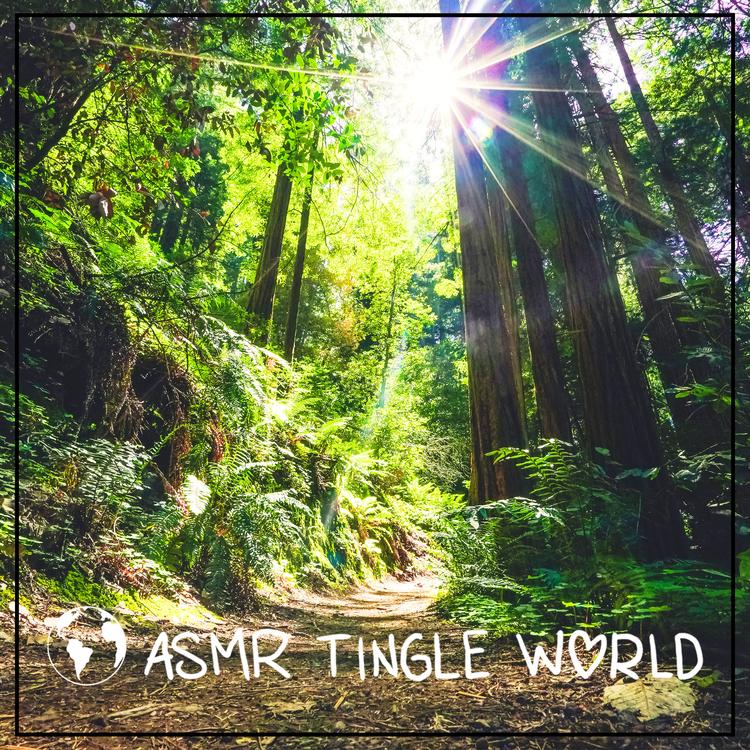ASMR Tingle World's avatar image