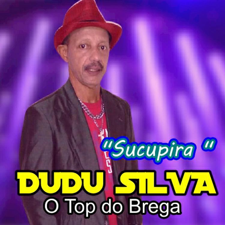 DUDU SILVA O TOP DO BREGA's avatar image