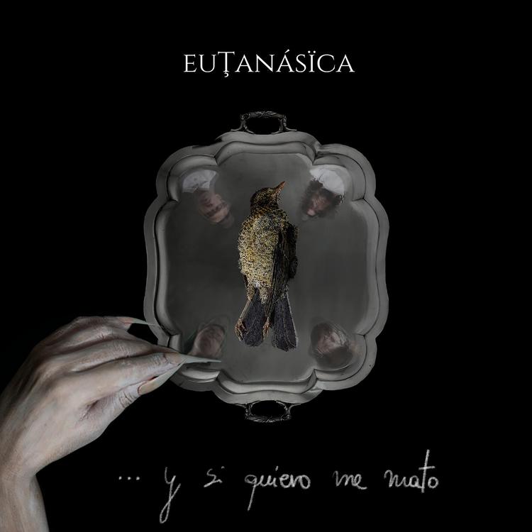 Eutanásïca's avatar image