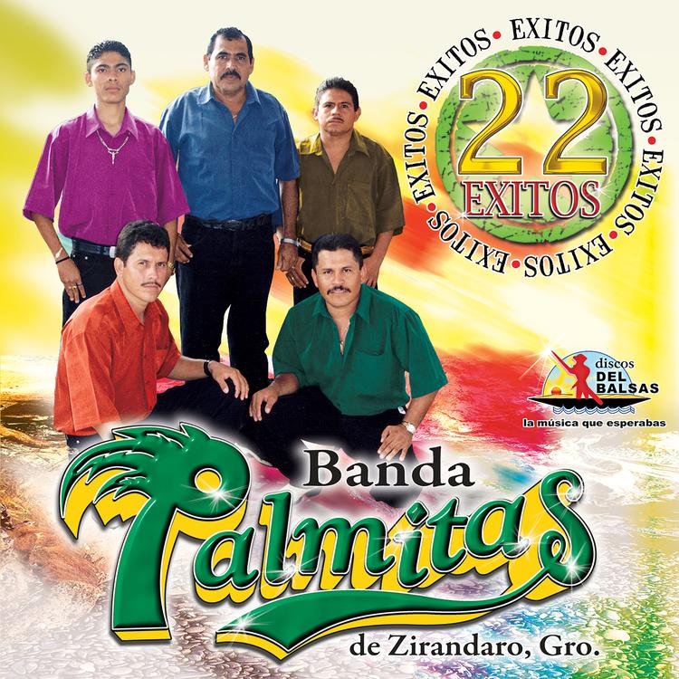 Banda Las Palmitas De Zirandaro Guerrero's avatar image