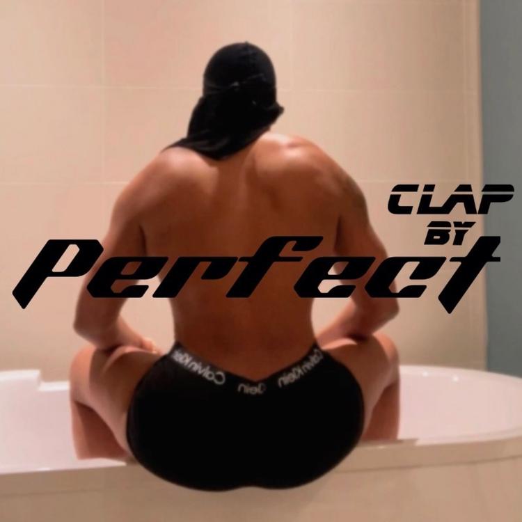 PERFECT's avatar image