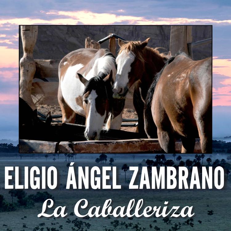 Eligio Ángel Zambrano's avatar image