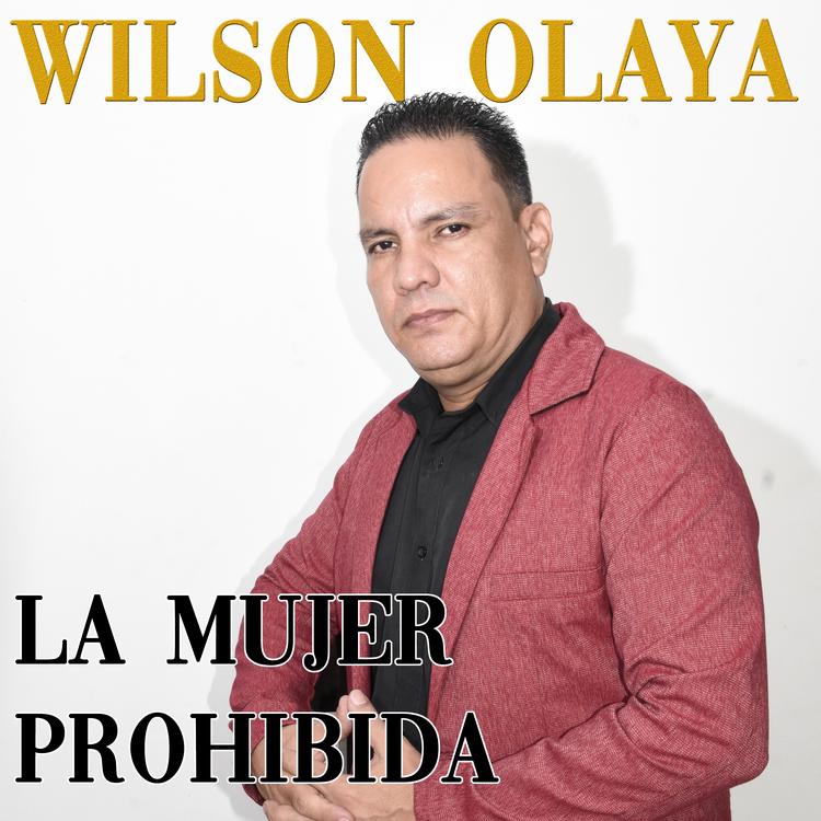 Wilson Olaya's avatar image