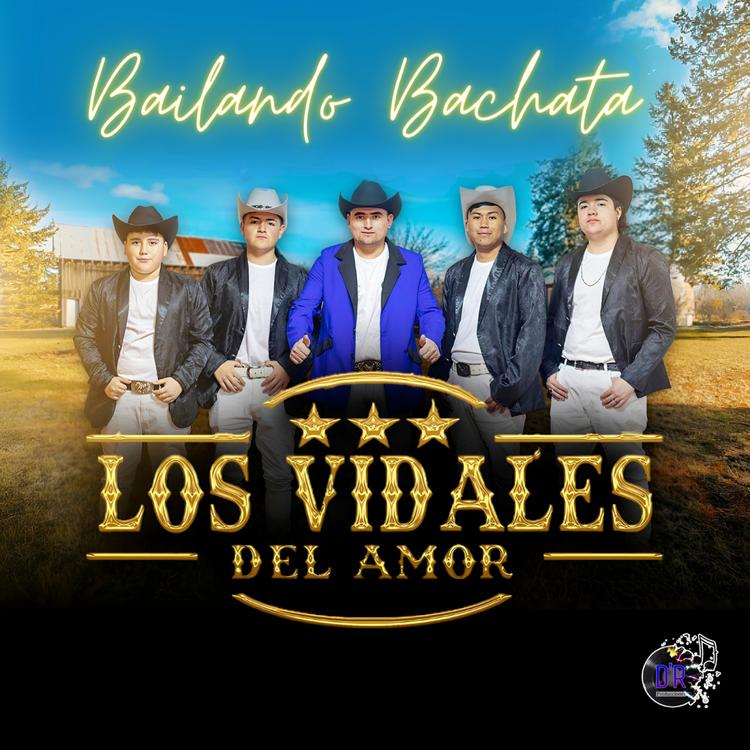 Los Vidales Del Amor's avatar image