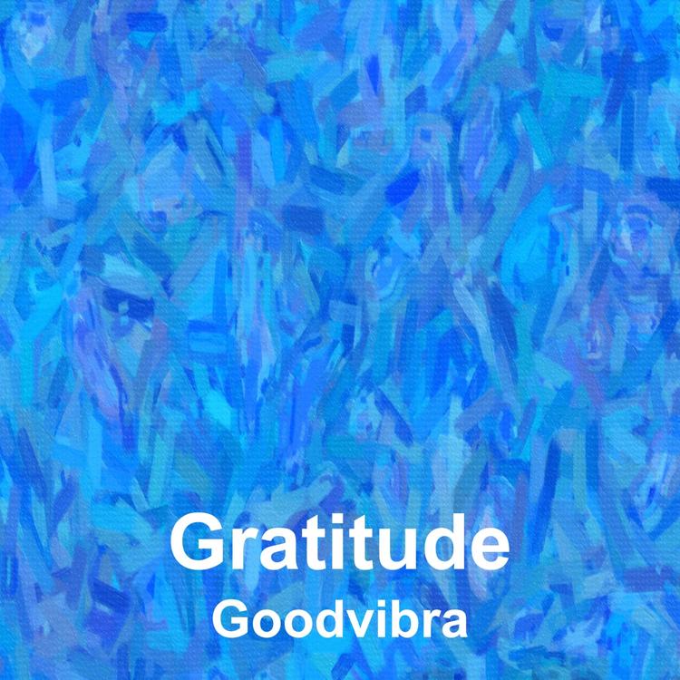 Goodvibra's avatar image