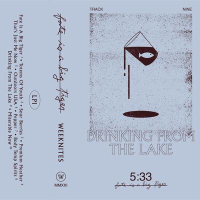 Drinking From The Lake By Weeknites's cover
