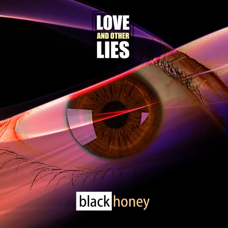 Love and Other Lies's avatar image