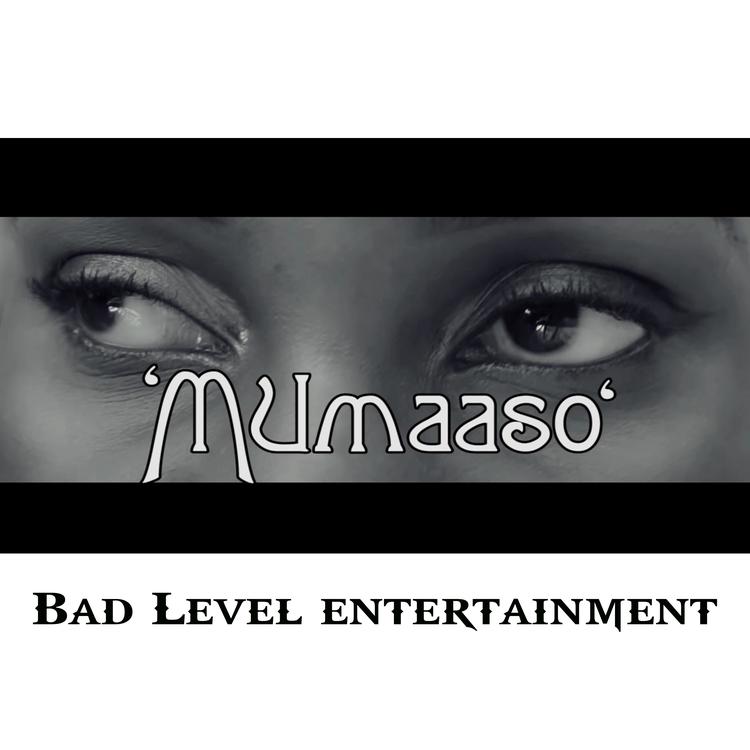 Bad Level Entertainment's avatar image