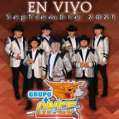 Huapango El Mojoso (En Vivo)'s cover