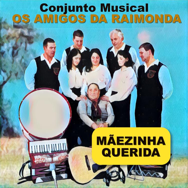 Conjunto Musical Os Amigos da Raimonda's avatar image