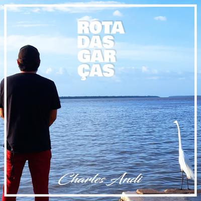 Charles Andi's cover