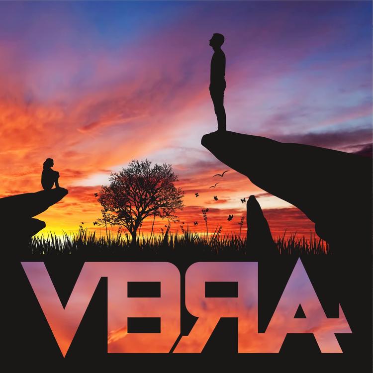 VBRA's avatar image