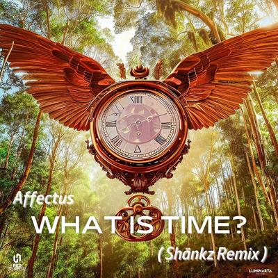 Affectus - What is time ( Remix ) By Shankz's cover