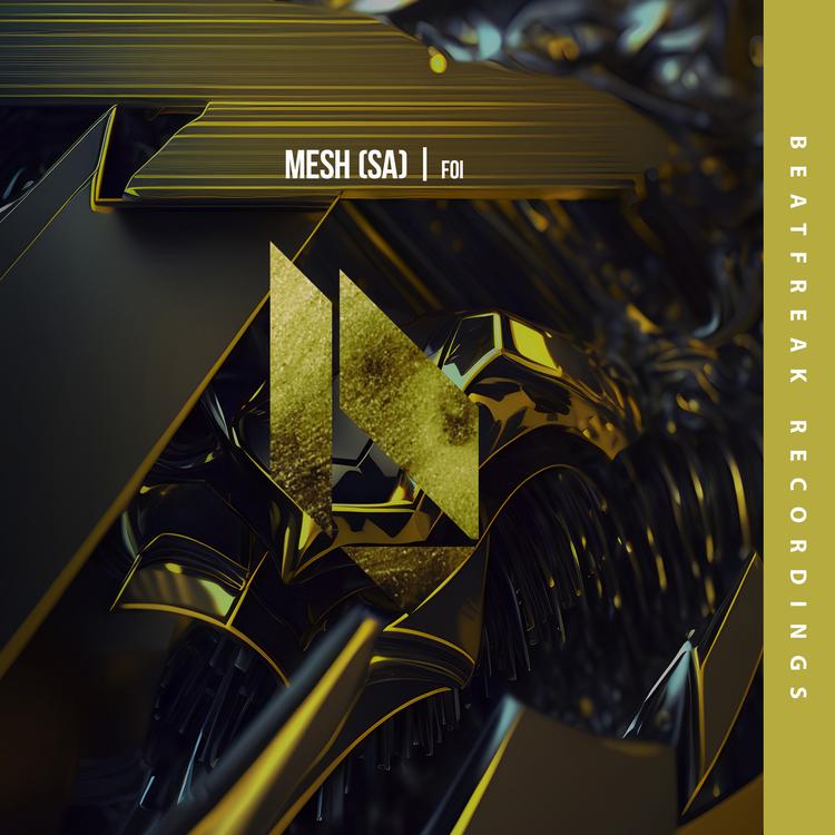 MESH (SA)'s avatar image