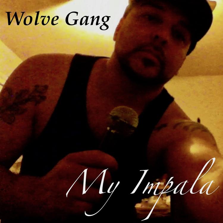 Wolve Gang's avatar image