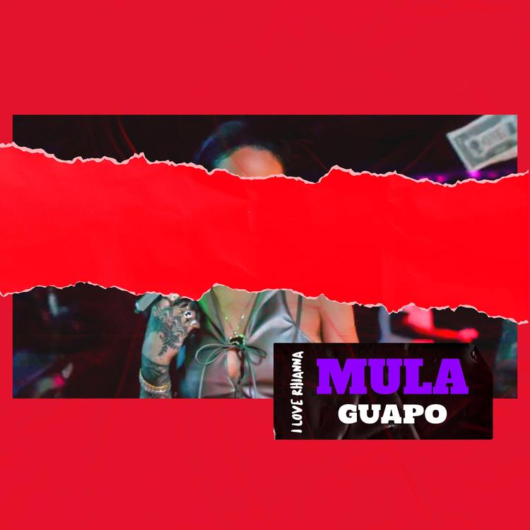 Mula Guapo's avatar image