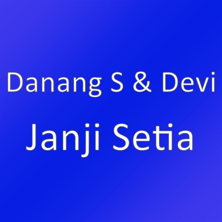 Danang S's avatar image