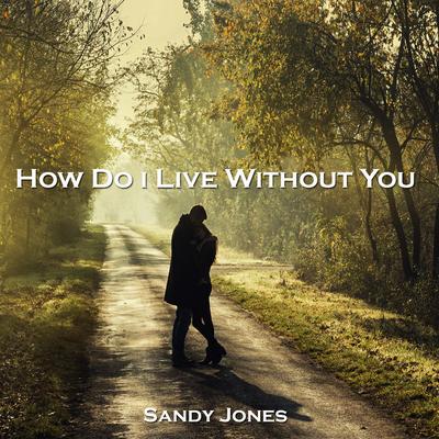 How Do I Live Without You By Sandy Jones's cover