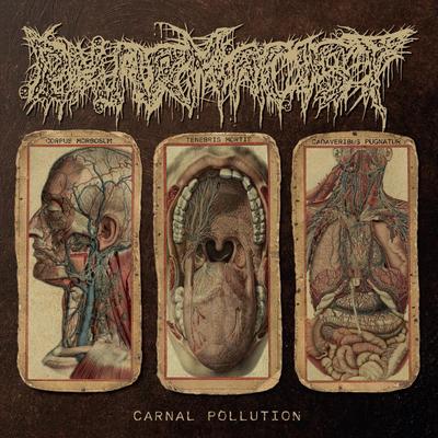 Carnal Pollution's cover