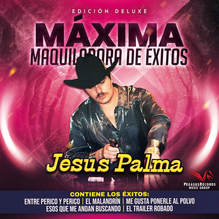 Jesus Palma's avatar image