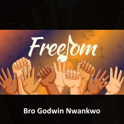 Godwin Nwankwo's cover