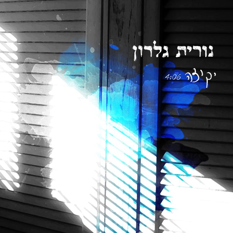 Nurit Galron's avatar image