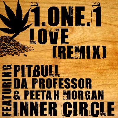 1.One.1 Love Remix (feat. Da Professor, Pitbull & Peetah Morgan) - Single's cover