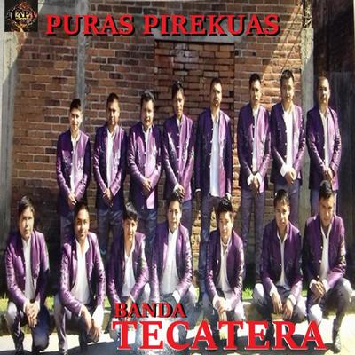 Male Sarita By Banda Tecatera's cover