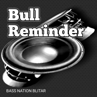 Bull Reminder's cover