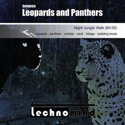 Between Leopards and Panthers (Night Jungle Walk) By Technomind's cover