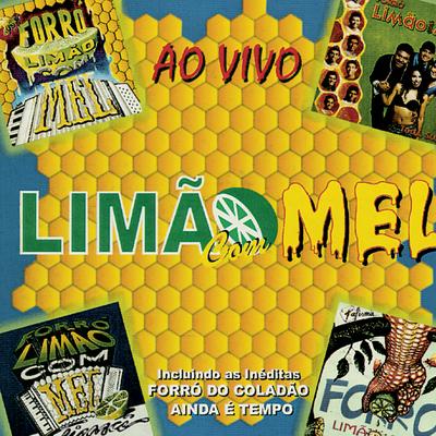 Por Favor, Não Vá (I Won't Let You Down) (ao vivo) By Limão Com Mel's cover