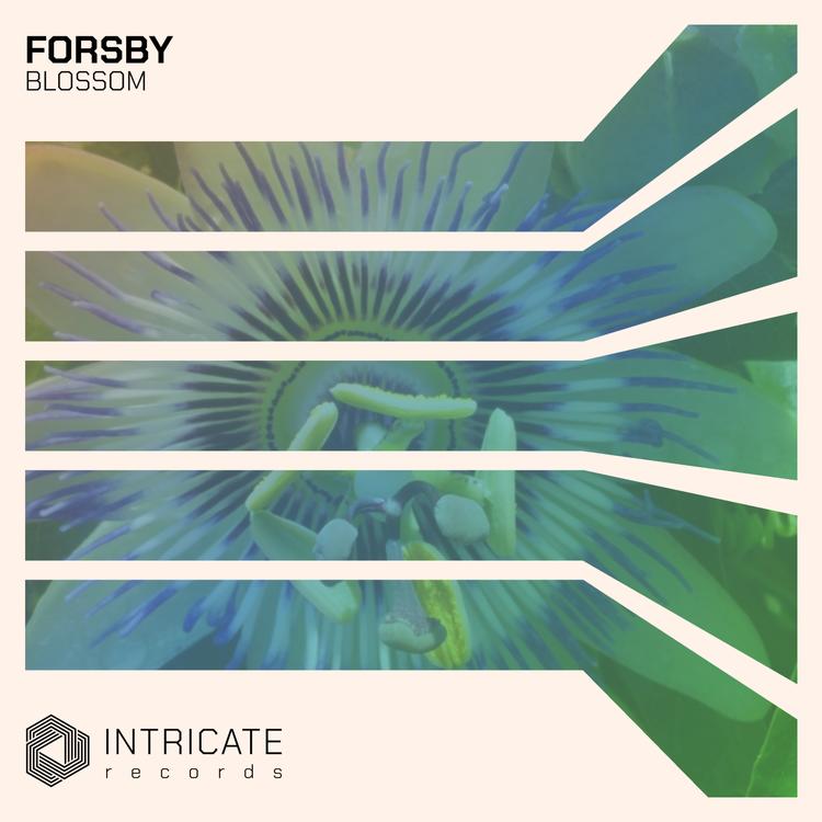 FORSBY's avatar image