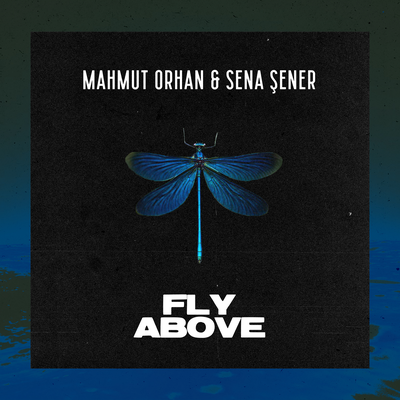 Fly Above By Mahmut Orhan, Sena Şener's cover