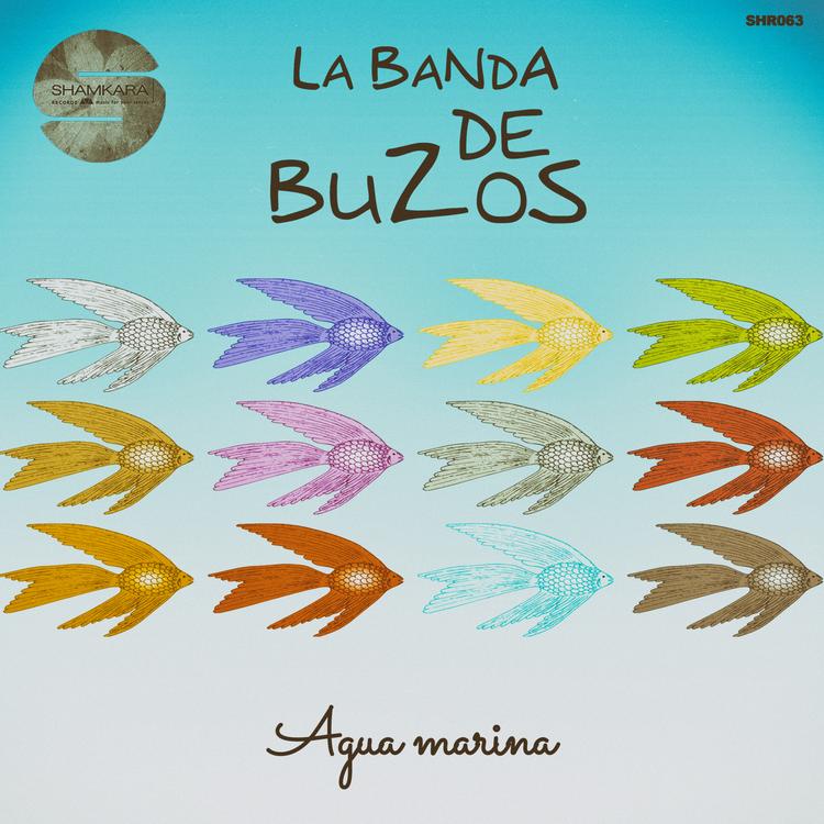 La Banda de Buzos's avatar image