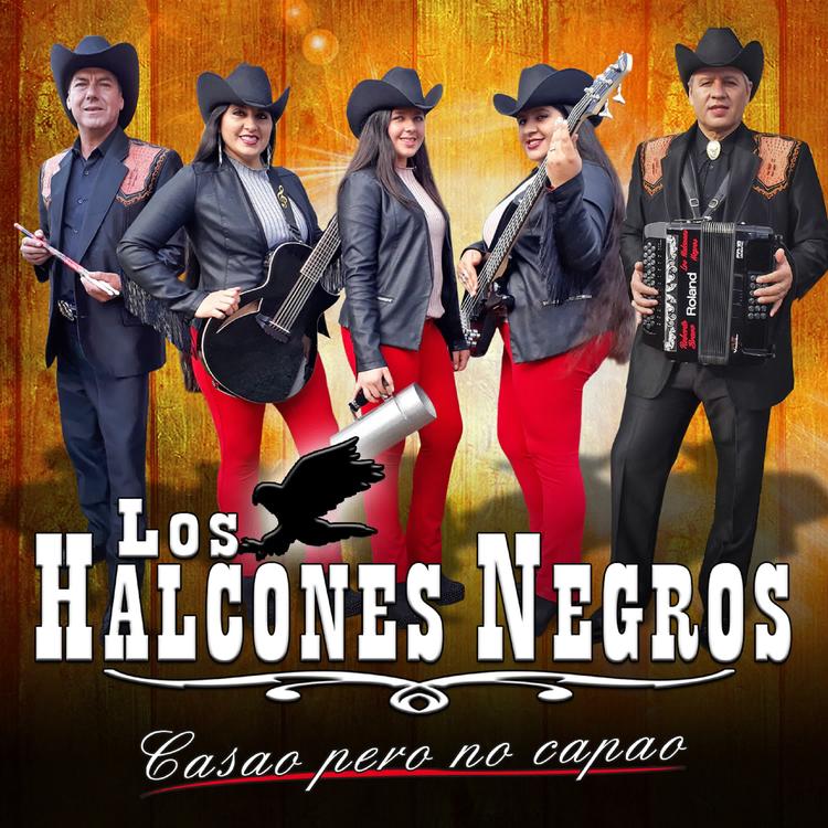 Los Halcones Negros's avatar image