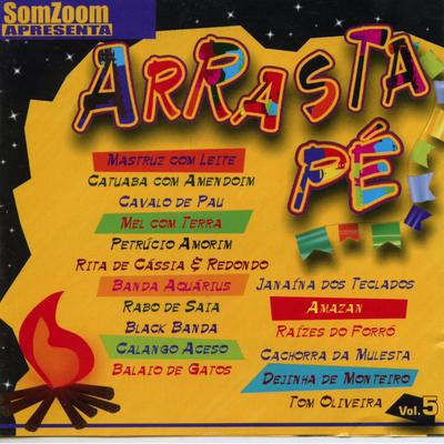 SomZoom Apresenta: Arrasta Pé, Vol. V's cover