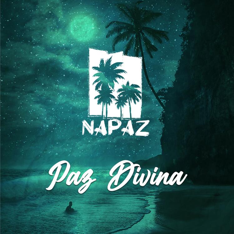 NapaZ's avatar image