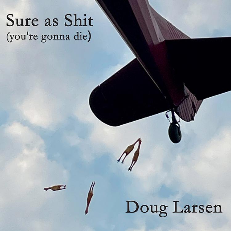 Doug Larsen's avatar image